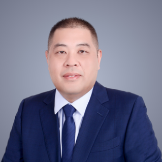宋振亞 研究員